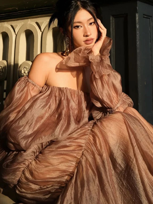 Elegant Brown Long Sleeve A-Line Long Prom Dress Ideas, Evening Party Dresses, WGP2024